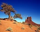 IMAGE OF Wallmonkeys Peel and Stick Wall Decals - Monument Valley - 36