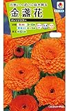タキイ種苗金盞花オレンジスター