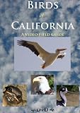 Birds of California:  A Video Field Guide