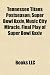 Tennessee Titans Postseason: Super Bowl Xxxiv, Music City Miracle, Final Play of Super Bowl Xxxiv