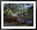 Airlie Gardens Wilmington North Carolina, USA Framed Art Poster Print, 49x39