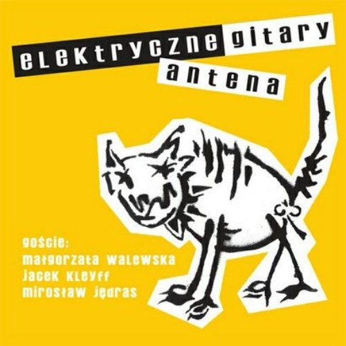 Elektryczne Gitary - Killerow Dwoch - Zortam Music