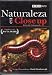 NATURALEZA EN CLOSE UP(LIFE IN THE UNDERGROWTH)