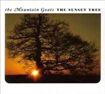 Sunset Tree