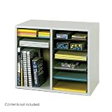 Adjustable Literature Organizer