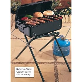 Portable Lava Rock Gas Barbecue