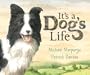 It's a Dog's Life