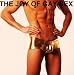THE JOY OF GAY SEX (GAY SEX STORIES)