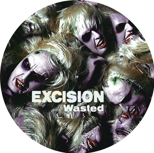 Excision Foto 1
