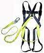 FallTech 70077259Y FT Basic Harness with Y-Leg Internal Shock Absorbing Lanyard, Universal Fit