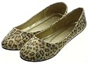 Couture Discount Ballerinas Fashion, Leopard (BAL55n)