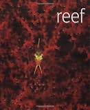 Buy : Reef