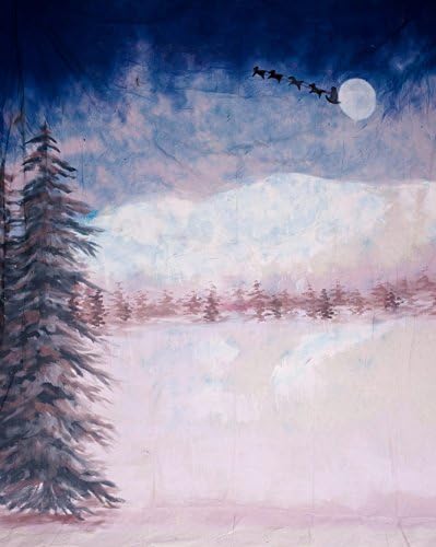 Studiohut 10' X 20' Holiday Series Painted Muslin Photo Video Backdrop/Background (K12254)