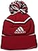 NBA Chicago Bulls Men's Energy Stripe Cuffed Knit Pom, One Size, Red