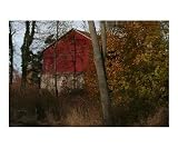 The Barn at Maxwell Bay Scenic Photographic Poster Print by Tom Drew, 10x8