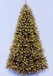 12' Downswept Douglas Fir Pre-Lit PE Artificial Christmas Tree - Clear Lights