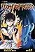 Book Flame of Recca, Vol. 12