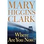 Where Are You Now?: A Novel