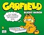 Garfield SC: Garfield 02: Garfield blickt durch