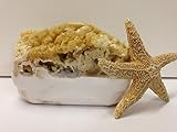 Olive Oil Soap and Goat's Milk Soap Bar with Attached Natural Organic Sea Sponge. *Hand Crafted in Florida* *All Natural Moisturizing Soap* Great Gift! Perfect Shower Sponge! All Natural Bath Sponge and Natural Bath Bar. *The Best Sea Sponge Soap Combination* Several Amazing Scents. (Lavender)