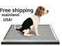 UGODOG Indoor Dog Potty