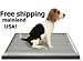 UGODOG Indoor Dog Potty