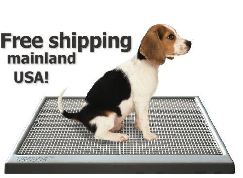 UGODOG Indoor Dog Potty