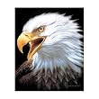 Spirit Of Indigo Mink Blanket Queen Size Signature Collection