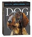 Dog Page-A-Day Gallery Calendar 2012