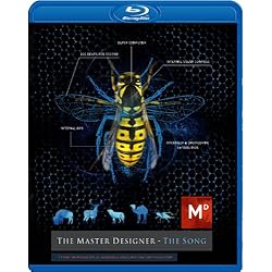 The Master Designer - The Song [Blu-ray]