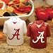 College Gameday Salt and Pepper Shakers