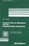 Singular Sets of Minimizers for the Mumford-Shah Functional (Progress in Mathematics)