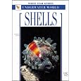 Shells: White Star Guides - Underwater World