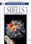 Shells: White Star Guides - Underwater World