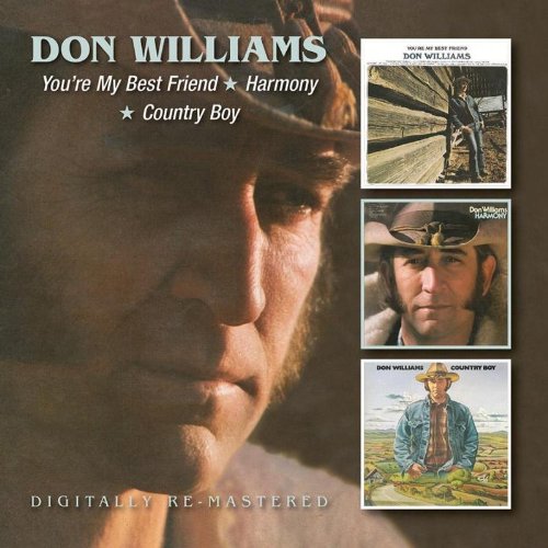 DON WILLIAMS - Someone Like You Lyrics - Zortam Music
