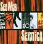 Sexotica