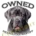 Neapolitan Mastiff Mousepad Mouse Pad Owned By