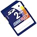 Dane Electric 2GB SD Memory Card