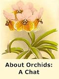 About Orchids: A Chat (Illustrated)