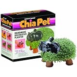 Chia Elephant