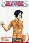 Bleach, Vol. 4