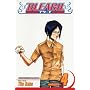 Bleach: v. 4