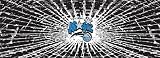 Orlando Magic Shattered Auto Rear Window Decal