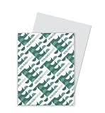 Wausau Paper 49191 Index Card Stock, 8-1/2 x 11, 90-lb., Pastel Gray, 250 Sheets/pack