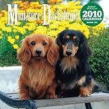 ミニチュア・ダックスフントCALENDAR 2010