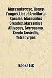 Marasmiaceae: Honey Fungus, List of Armillaria Species, Marasmius Oreades, Marasmius Alliaceus, Gerronema, Xerula Australis, Tetrapy-