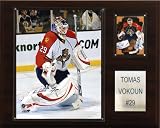 NHL Tomas Vokoun Florida Panthers Player Plaque