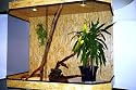 Hoch Terrarium 120 x 60 x 120