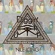 DIGGINIT UP by Nile Long 【並行輸入品】