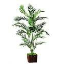 Paradise Palm Faux Tree- 7'